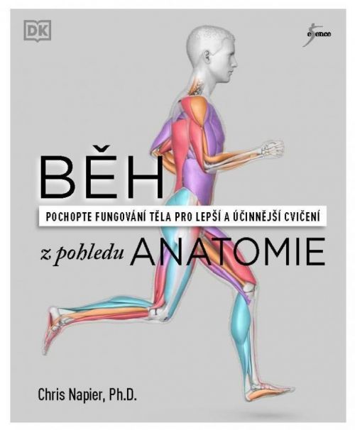 Běh z pohledu anatomie - Správná technika, prevence před zraněním, nastavení tréninku - Chris Napier