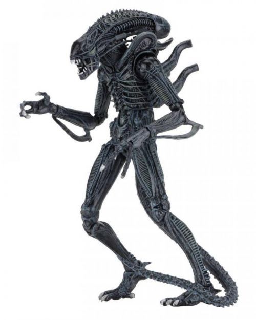 NECA | Aliens - sběratelská figurka Ultimate Alien Warrior (Blue) 23 cm