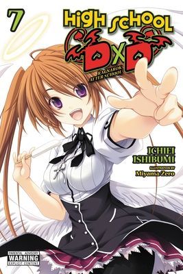 High School DXD, Vol. 7 (Light Novel) (Ishibumi Ichiei)(Paperback)