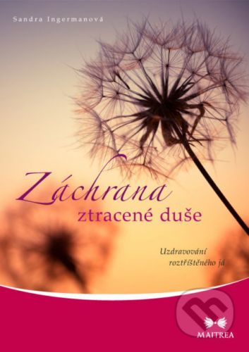 Záchrana ztracené duše - Sandra Ingerman
