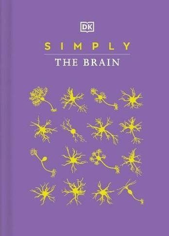 Simply The Brain - Zdeněk Štipl