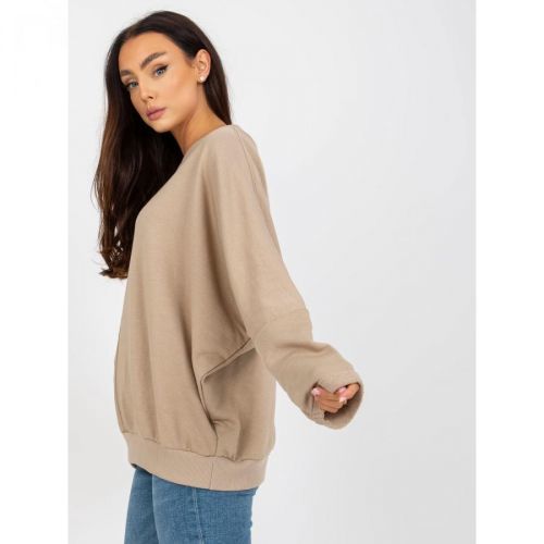 Dark beige basic sweatshirt without a RUE PARIS hood