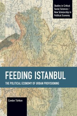 Feeding Istanbul - The Political Economy of Urban Provisioning (Turkkan Candan)(Paperback / softback)