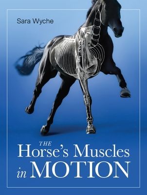 Horse's Muscles in Motion (Wyche Sara)(Paperback / softback)