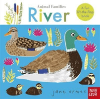 Animal Families: River(Board book)