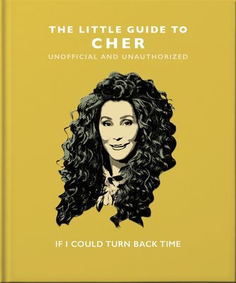 Little Guide to Cher - If I Could Turn Back Time (Orange Hippo!)(Pevná vazba)