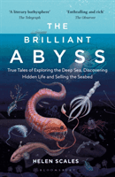 Brilliant Abyss - True Tales of Exploring the Deep Sea, Discovering Hidden Life and Selling the Seabed (Scales Helen)(Paperback / softback)