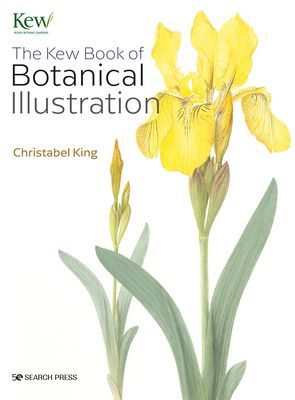 Kew Book of Botanical Illustration (paperback edition) (King Christabel)(Paperback / softback)