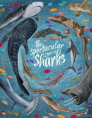 Spectacular Lives of Sharks (Griffin Annabel)(Pevná vazba)