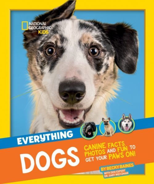 Everything: Dogs - Canine Facts, Photos and Fun to Get Your Paws on! (National Geographic Kids)(Paperback / softback)