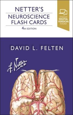 Netter's Neuroscience Flash Cards (Felten David L. (Associate Dean of Clinical Sciences University of Medicine and Health New York New York))(Cards)