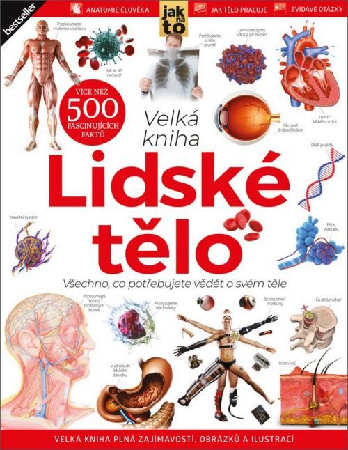 Lidské tělo - Všechno, co potřebujete vědět o svém těle - autorů kolektiv