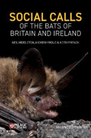 Social Calls of the Bats of Britain and Ireland - Expanded and Revised Second Edition (Middleton Neil)(Paperback / softback)
