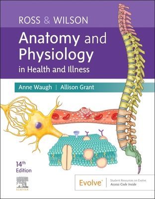 Ross & Wilson Anatomy and Physiology in Health and Illness (Waugh Anne (School of Acute and Continuing care Nursing Napier University Edinburgh UK))(Paperback / softback)