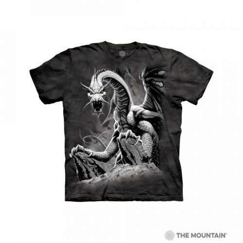 Tričko unisex The Mountain Black Dragon - šedé, XXL