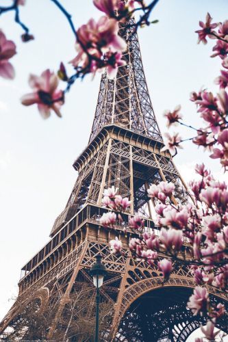 POSTERS Plakát, Obraz - Paris - Eiffel Tower, (80 x 120 cm)