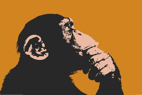 POSTERS Plakát, Obraz - Monkey - Thinking, (120 x 80 cm)