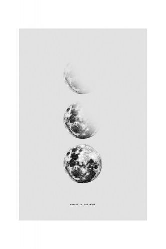 POSTERS Plakát, Obraz - Finlay & Noa - Moon 5, (40 x 60 cm)
