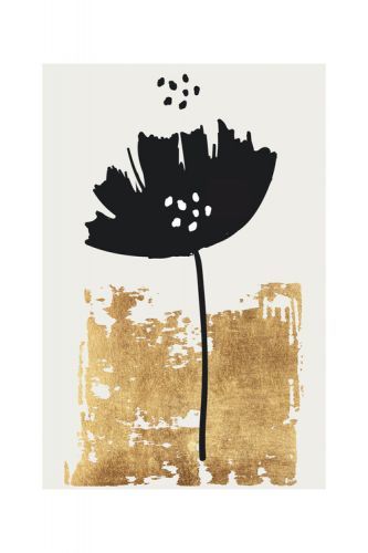 POSTERS Plakát, Obraz - Kubistika - Black poppy, (40 x 60 cm)