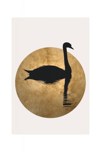 POSTERS Plakát, Obraz - Kubistika - The swan, (40 x 60 cm)