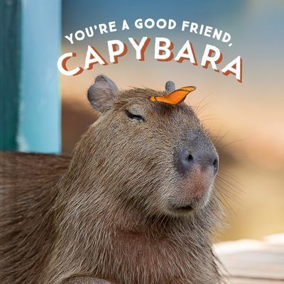 You're a Good Friend, Capybara (Chronicle Books)(Pevná vazba)