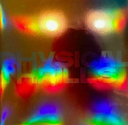 Silversun Pickups Physical Thrills (2 LP)