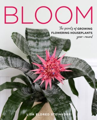 Bloom - The secrets of growing flowering houseplants year-round (Steinkopf Lisa Eldred)(Pevná vazba)