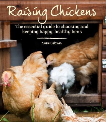 Raising Chickens (Baldwin Suzie)(Paperback / softback)