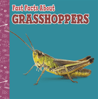 Fast Facts About Grasshoppers (Garstecki-Derkovitz Julia)(Paperback / softback)