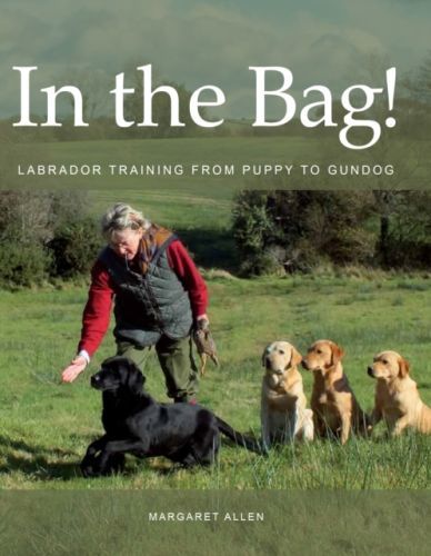 In the Bag! - Labrador Training from Puppy to Gundog (Allen Margaret)(Paperback / softback)