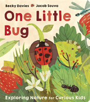 One Little Bug (Davies Becky)(Board book)