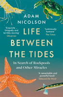 Life Between the Tides - In Search of Rockpools and Other Adventures Along the Shore (Nicolson Adam)(Paperback / softback)