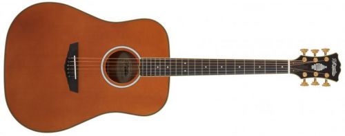 D'Angelico Lexington Dreadnought E Vintage Natural