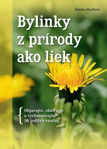 Bylinky z prírody ako liek