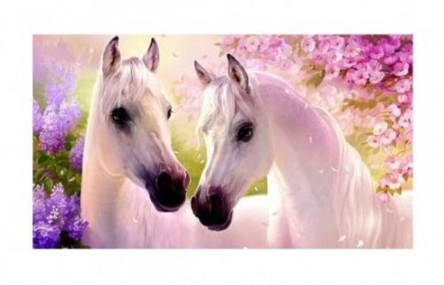 SMT Diamantový obrázek 30 x 40 cm - Zamilovaní koně - 1004947