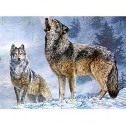 SMT Diamantový obrázek 30 x 40 cm - Vlk s vlčicí - 1005260