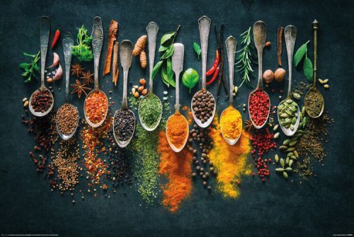 POSTERS Plakát, Obraz - Spices, (61 x 91.5 cm)