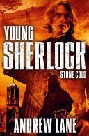 Stone Cold (Lane Andrew)(Paperback)
