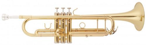 Bacio Instruments BTR-01L