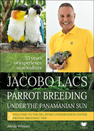Jacobo Lacs Parrot breeding under the Panamanian sun - Jacobo Lacs