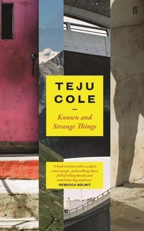 Known and Strange Things - Cole Teju