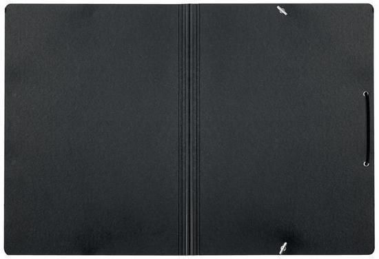 Flap folder with rubberband, cardboard, A4, LEITZ 