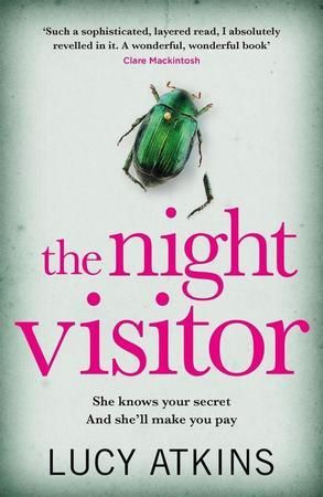 The Night Visitor - Atkins Lucy