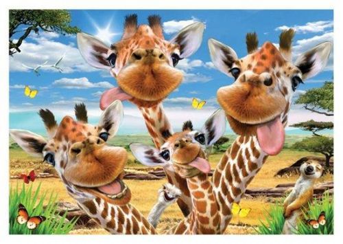 ANATOLIAN Puzzle Žirafí selfie 500 dílků