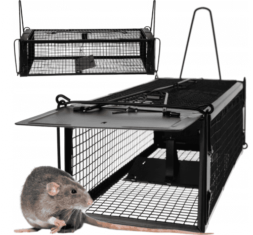 Past na myši, krysy a potkany 43x15x12 cm