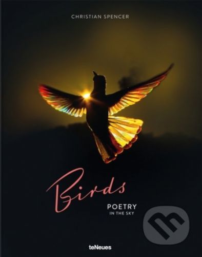 Birds - Christian Spencer