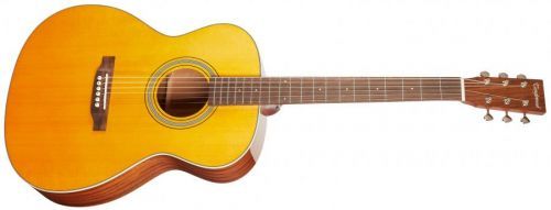 Tanglewood TW40 O AN E