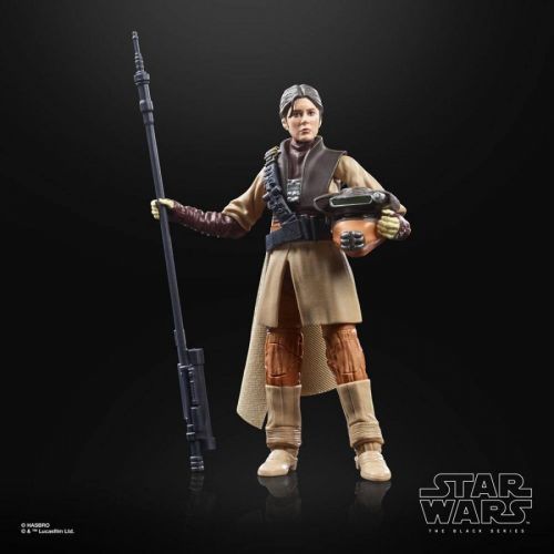 Hasbro | Star Wars Episode VI - sběratelská figurka 2022 Leia Organa (Boushh) (Black Series) 15 cm