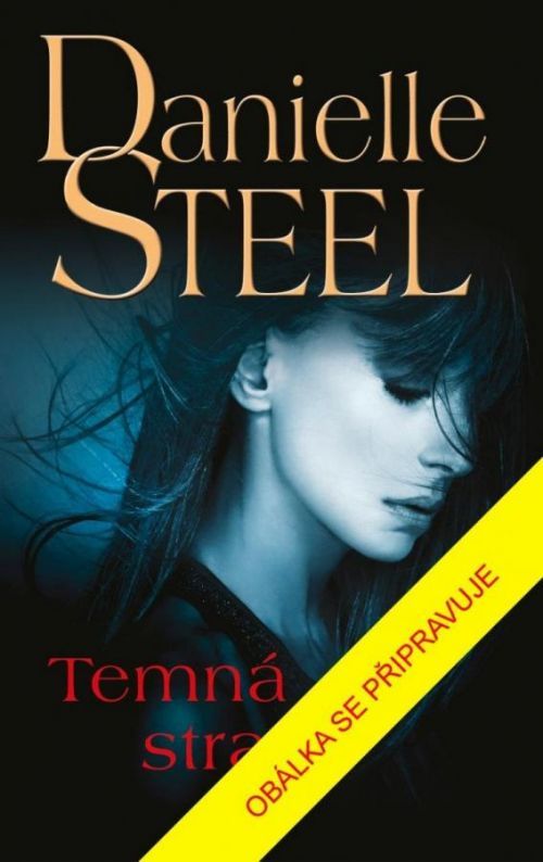 Temná strana - Danielle Steel