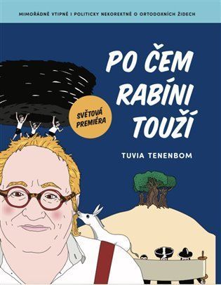 Po čem rabíni touží - Tuvia Tenenbom